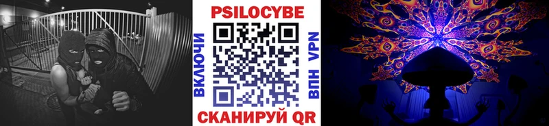 Галлюциногенные грибы Psilocybine cubensis  Когалым 